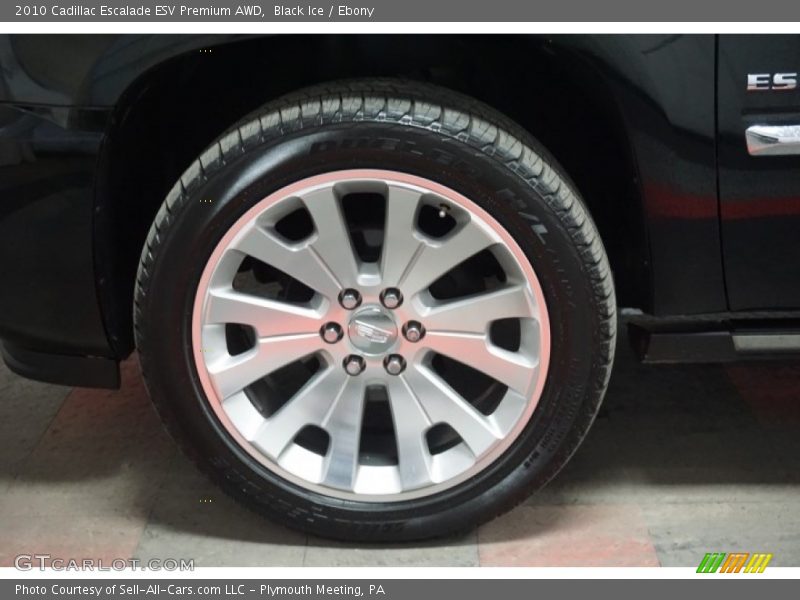 Black Ice / Ebony 2010 Cadillac Escalade ESV Premium AWD