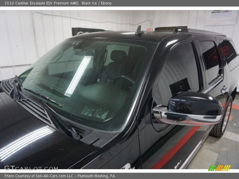 Black Ice / Ebony 2010 Cadillac Escalade ESV Premium AWD