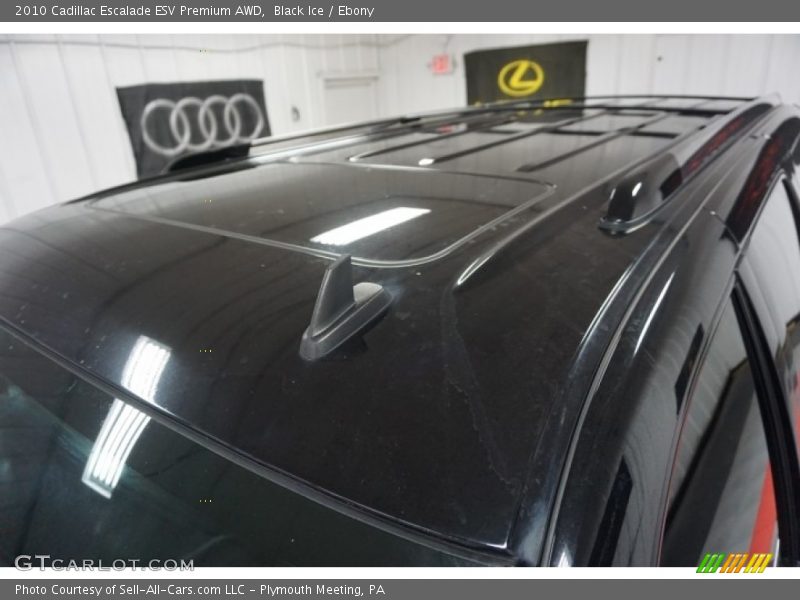 Black Ice / Ebony 2010 Cadillac Escalade ESV Premium AWD