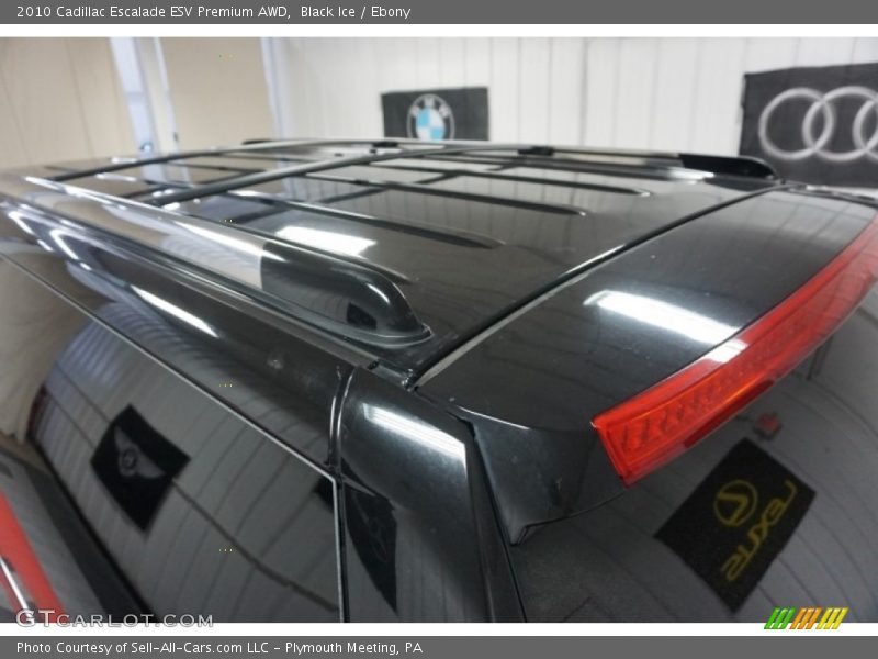 Black Ice / Ebony 2010 Cadillac Escalade ESV Premium AWD