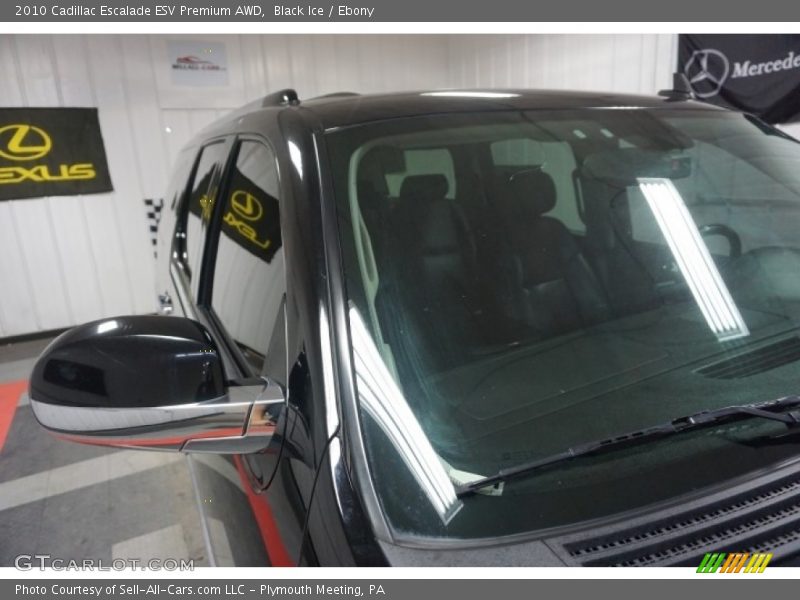 Black Ice / Ebony 2010 Cadillac Escalade ESV Premium AWD