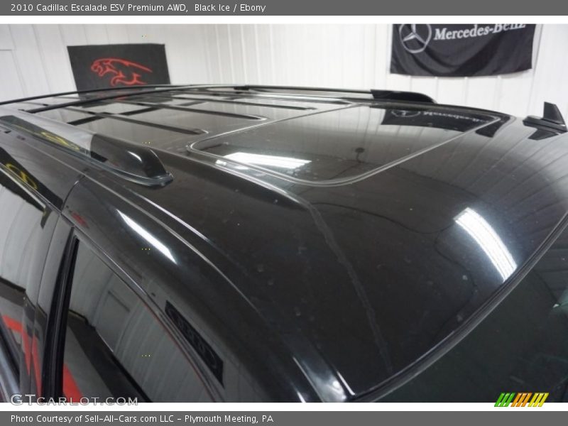 Black Ice / Ebony 2010 Cadillac Escalade ESV Premium AWD