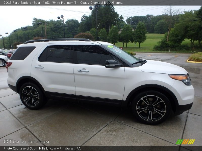 White Platinum Tri-Coat / Charcoal Black/Sienna 2013 Ford Explorer Sport 4WD