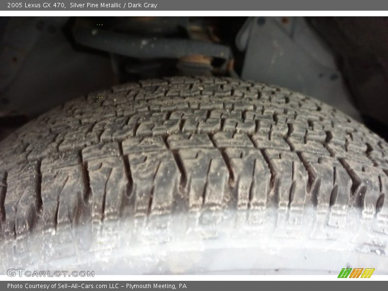 Silver Pine Metallic / Dark Gray 2005 Lexus GX 470