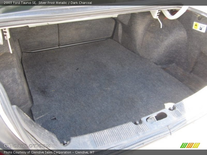 Silver Frost Metallic / Dark Charcoal 2003 Ford Taurus SE