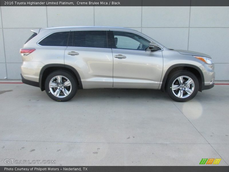 Creme Brulee Mica / Black 2016 Toyota Highlander Limited Platinum