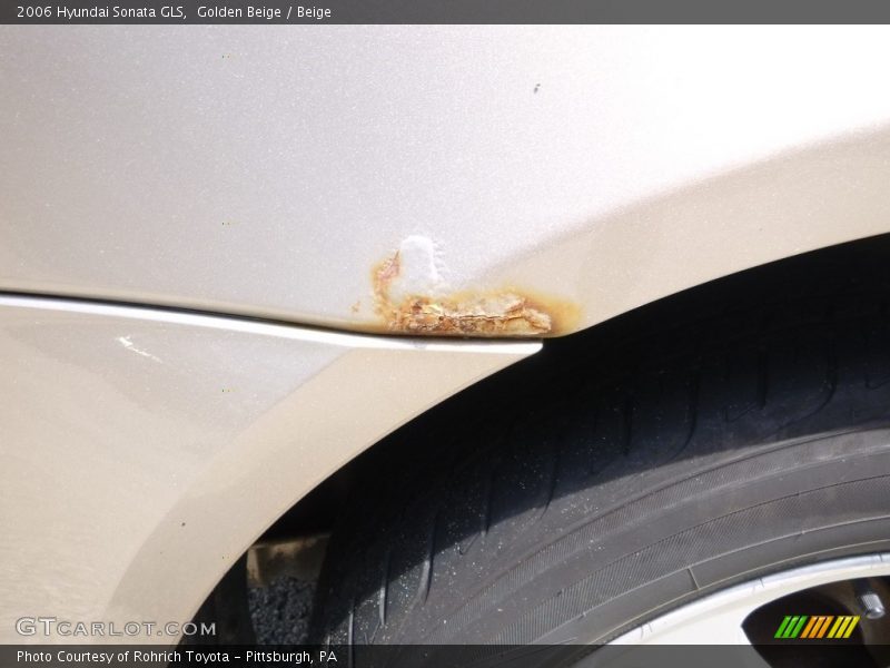 Golden Beige / Beige 2006 Hyundai Sonata GLS