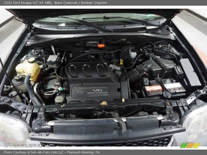 Black Clearcoat / Medium Graphite 2002 Ford Escape XLT V6 4WD
