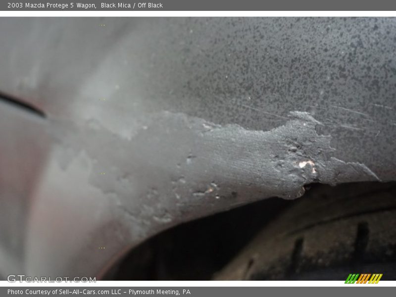 Black Mica / Off Black 2003 Mazda Protege 5 Wagon