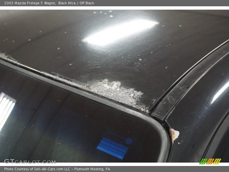 Black Mica / Off Black 2003 Mazda Protege 5 Wagon