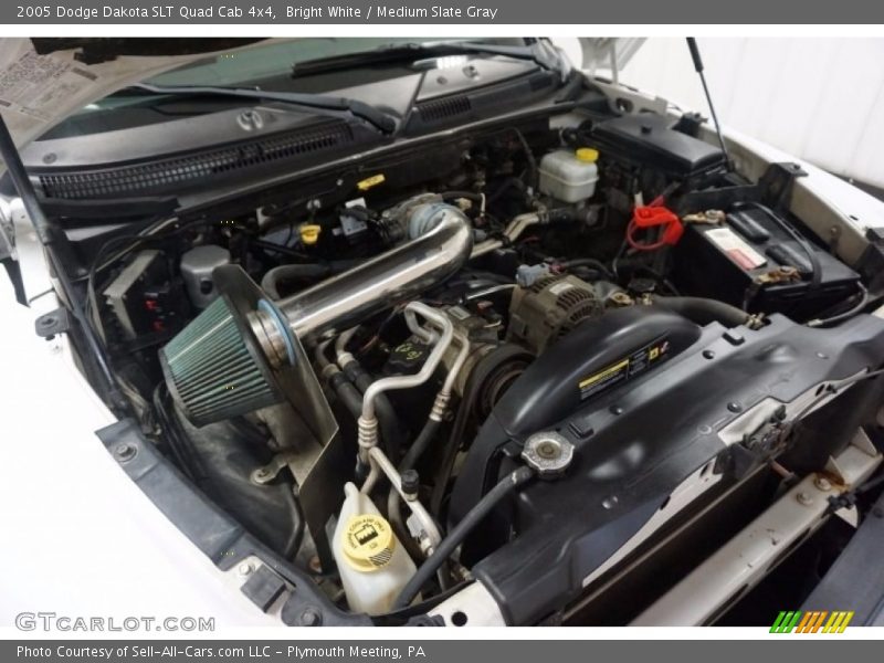 Bright White / Medium Slate Gray 2005 Dodge Dakota SLT Quad Cab 4x4