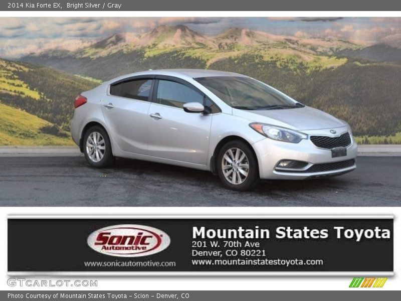 Bright Silver / Gray 2014 Kia Forte EX