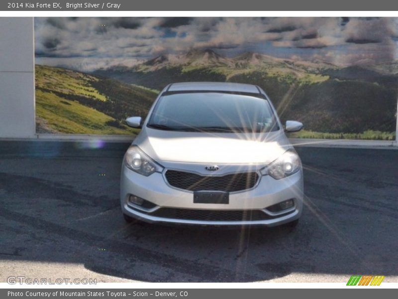 Bright Silver / Gray 2014 Kia Forte EX