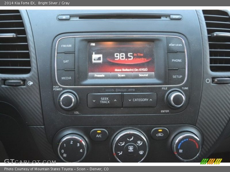 Bright Silver / Gray 2014 Kia Forte EX