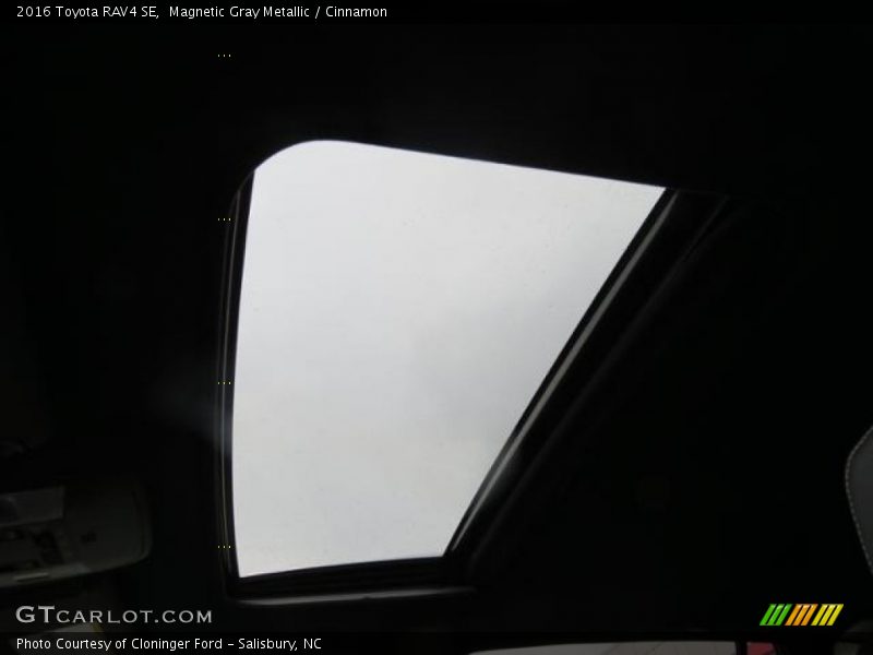 Magnetic Gray Metallic / Cinnamon 2016 Toyota RAV4 SE