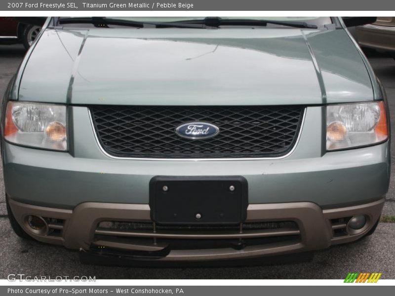 Titanium Green Metallic / Pebble Beige 2007 Ford Freestyle SEL