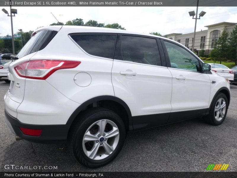 White Platinum Metallic Tri-Coat / Charcoal Black 2013 Ford Escape SE 1.6L EcoBoost 4WD