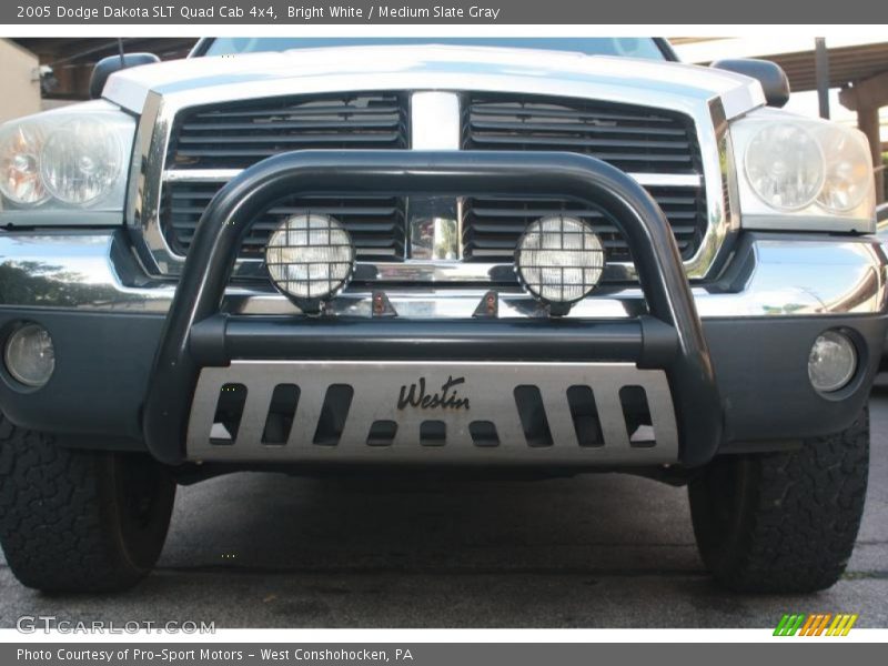 Bright White / Medium Slate Gray 2005 Dodge Dakota SLT Quad Cab 4x4