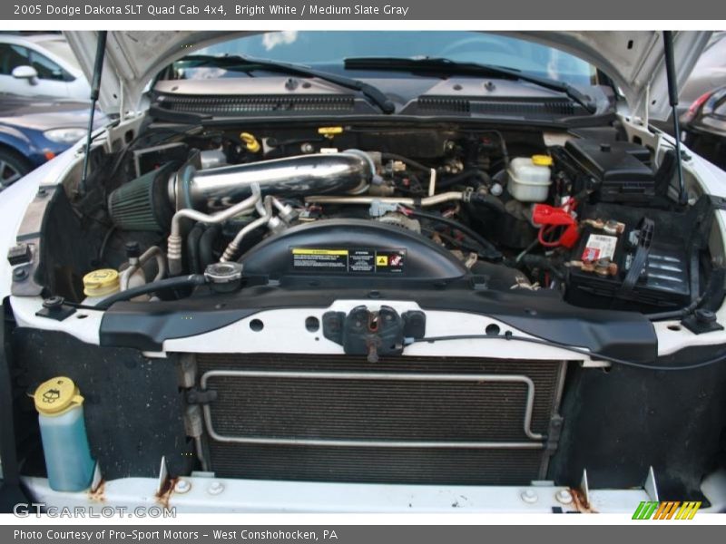 Bright White / Medium Slate Gray 2005 Dodge Dakota SLT Quad Cab 4x4
