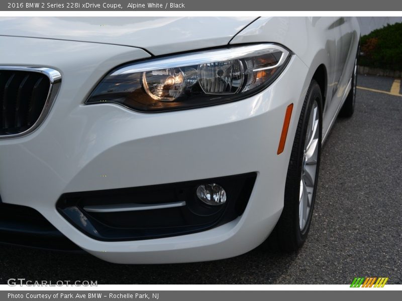 Alpine White / Black 2016 BMW 2 Series 228i xDrive Coupe
