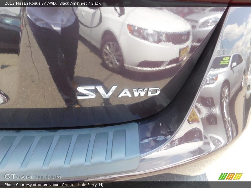 Black Amethyst / Black 2012 Nissan Rogue SV AWD