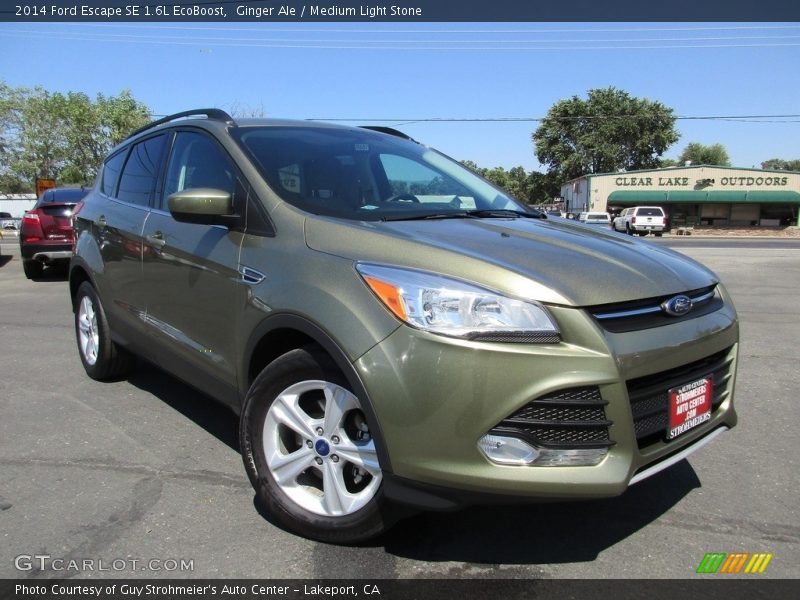 Ginger Ale / Medium Light Stone 2014 Ford Escape SE 1.6L EcoBoost