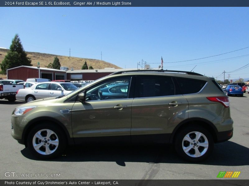 Ginger Ale / Medium Light Stone 2014 Ford Escape SE 1.6L EcoBoost