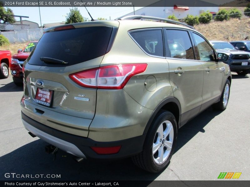 Ginger Ale / Medium Light Stone 2014 Ford Escape SE 1.6L EcoBoost