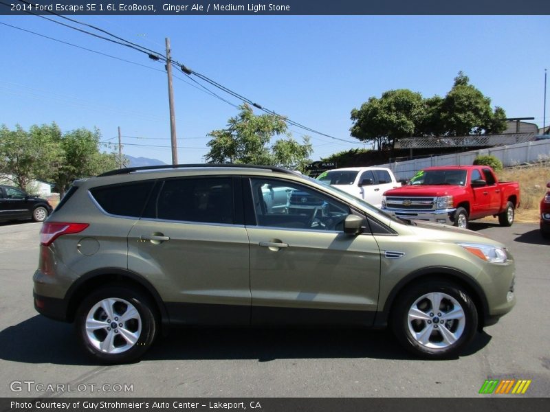 Ginger Ale / Medium Light Stone 2014 Ford Escape SE 1.6L EcoBoost