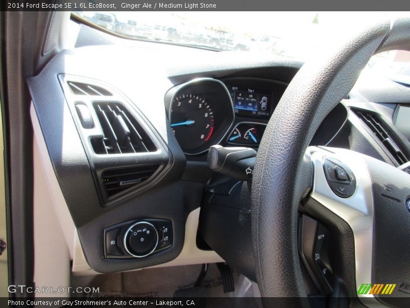 Ginger Ale / Medium Light Stone 2014 Ford Escape SE 1.6L EcoBoost