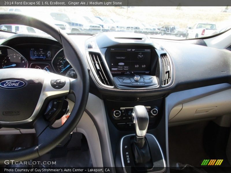 Ginger Ale / Medium Light Stone 2014 Ford Escape SE 1.6L EcoBoost