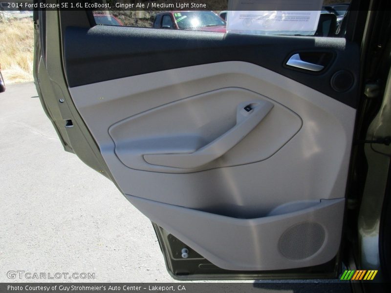 Ginger Ale / Medium Light Stone 2014 Ford Escape SE 1.6L EcoBoost