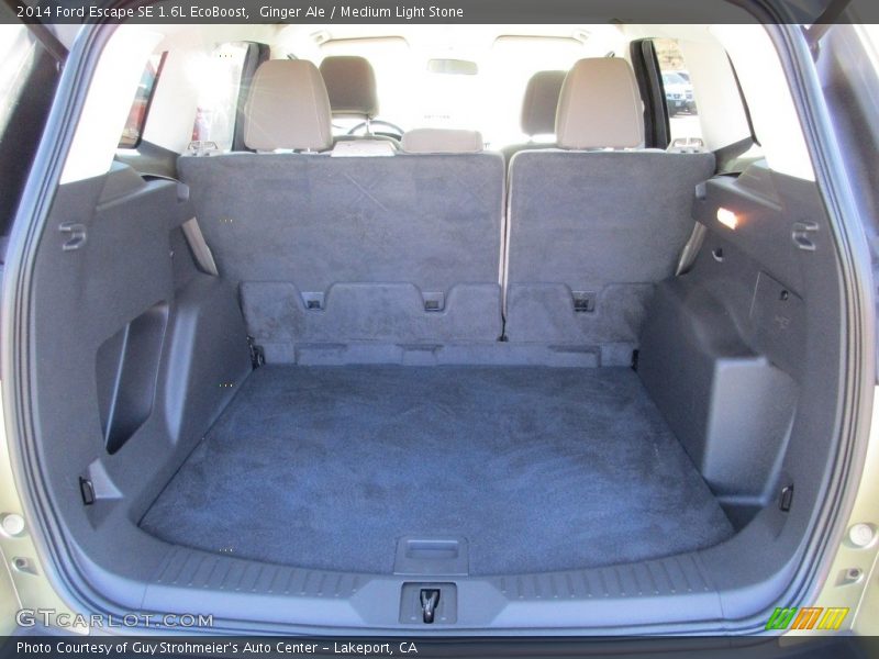 Ginger Ale / Medium Light Stone 2014 Ford Escape SE 1.6L EcoBoost