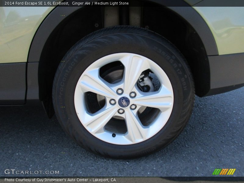 Ginger Ale / Medium Light Stone 2014 Ford Escape SE 1.6L EcoBoost