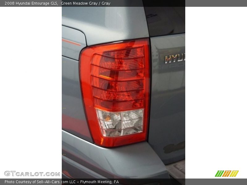 Green Meadow Gray / Gray 2008 Hyundai Entourage GLS