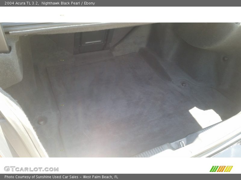 Nighthawk Black Pearl / Ebony 2004 Acura TL 3.2