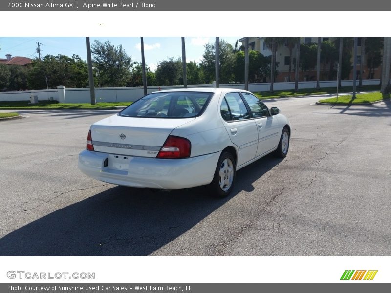 Alpine White Pearl / Blond 2000 Nissan Altima GXE