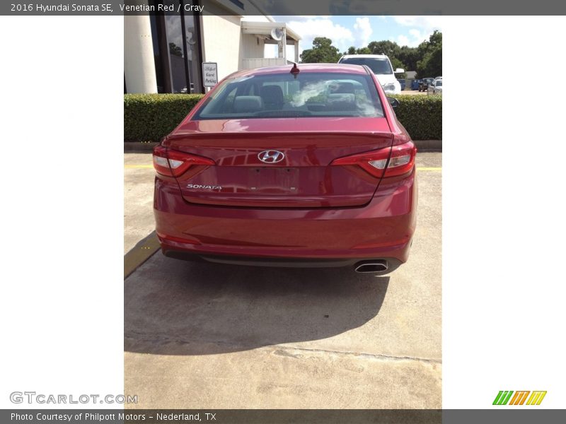 Venetian Red / Gray 2016 Hyundai Sonata SE