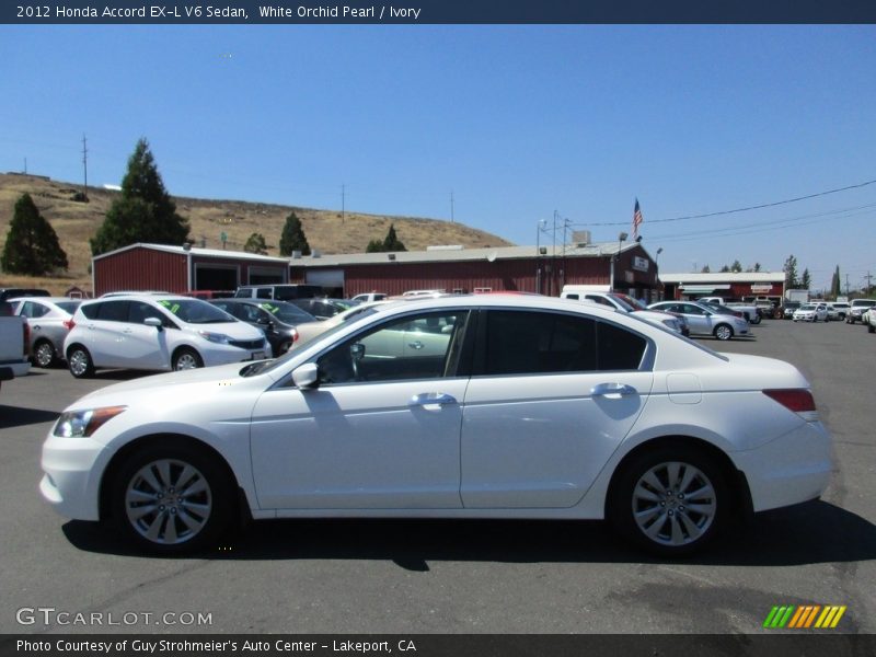 White Orchid Pearl / Ivory 2012 Honda Accord EX-L V6 Sedan