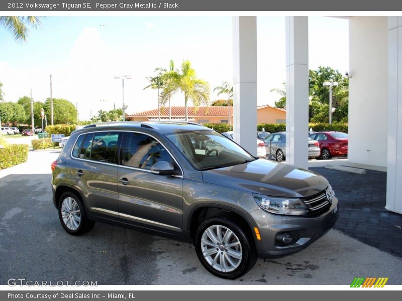 Pepper Gray Metallic / Black 2012 Volkswagen Tiguan SE