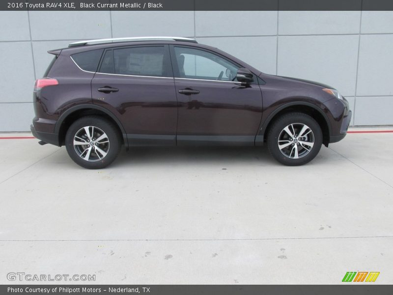  2016 RAV4 XLE Black Currant Metallic