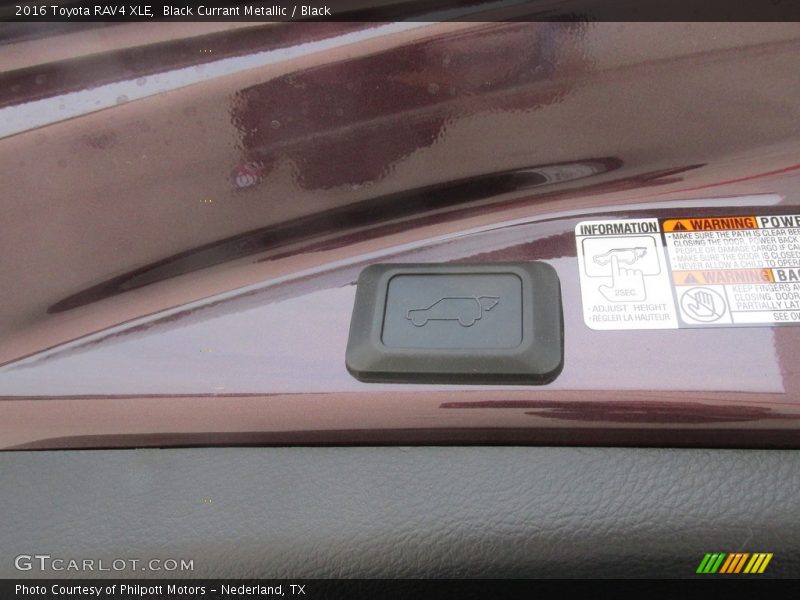 Black Currant Metallic / Black 2016 Toyota RAV4 XLE