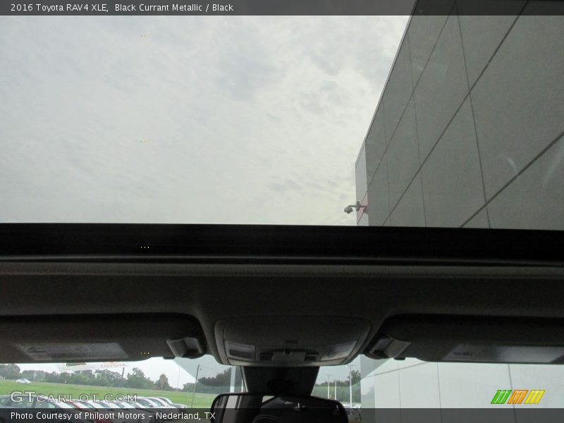 Black Currant Metallic / Black 2016 Toyota RAV4 XLE