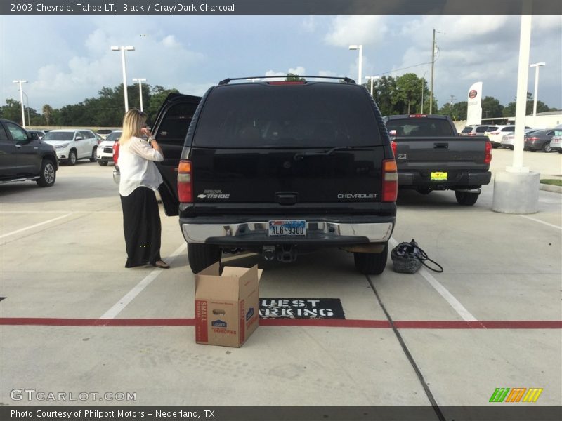 Black / Gray/Dark Charcoal 2003 Chevrolet Tahoe LT