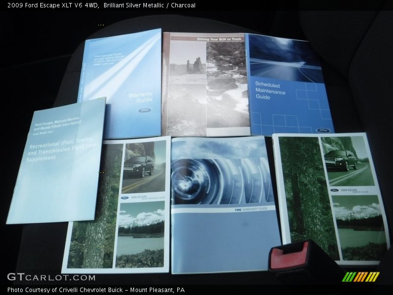 Brilliant Silver Metallic / Charcoal 2009 Ford Escape XLT V6 4WD