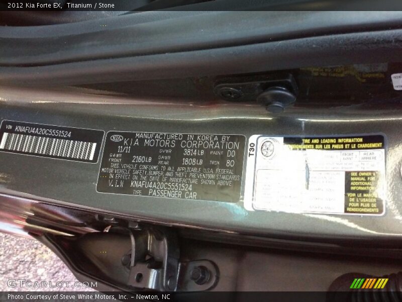 Titanium / Stone 2012 Kia Forte EX