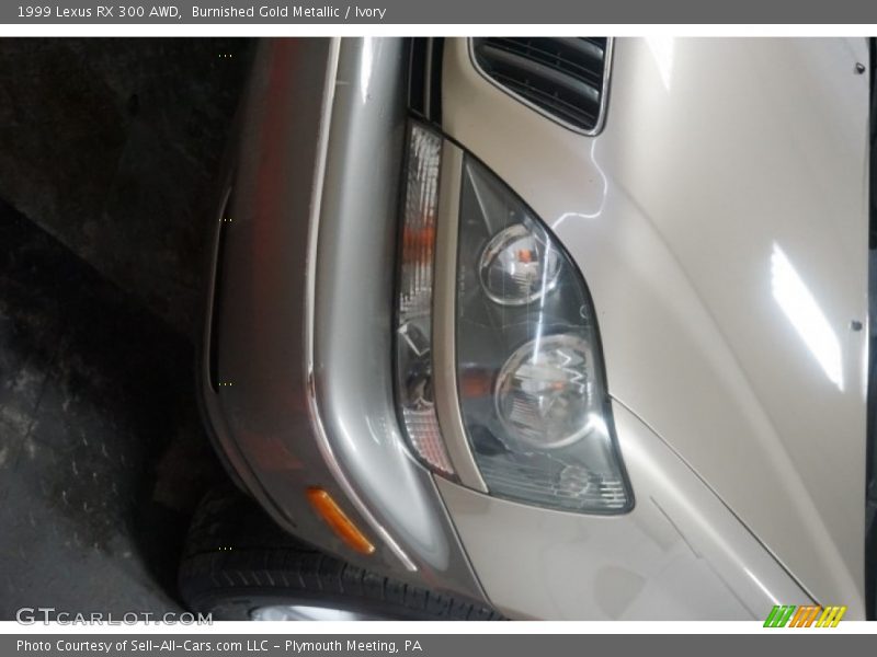 Burnished Gold Metallic / Ivory 1999 Lexus RX 300 AWD