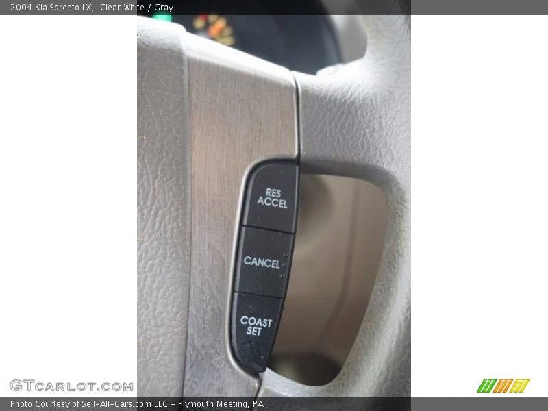 Clear White / Gray 2004 Kia Sorento LX