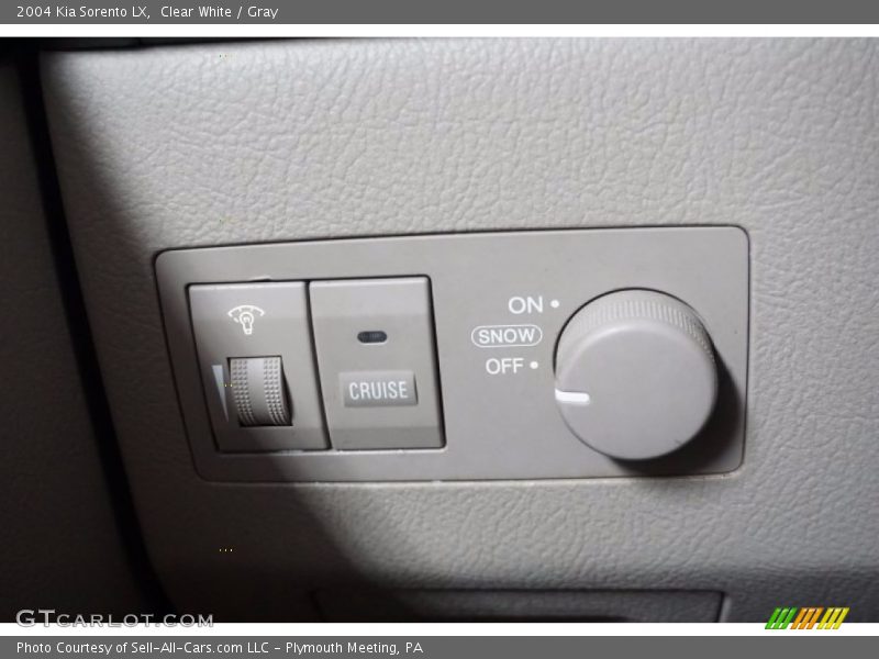 Clear White / Gray 2004 Kia Sorento LX