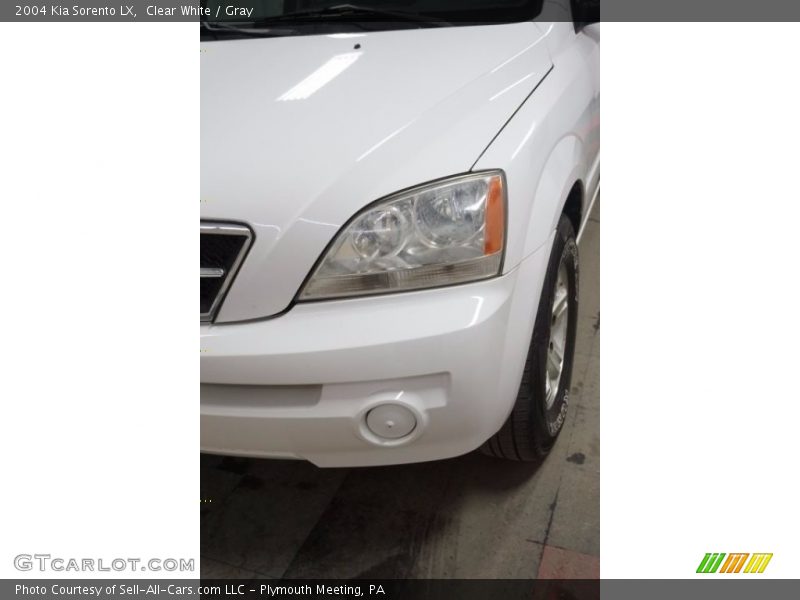 Clear White / Gray 2004 Kia Sorento LX